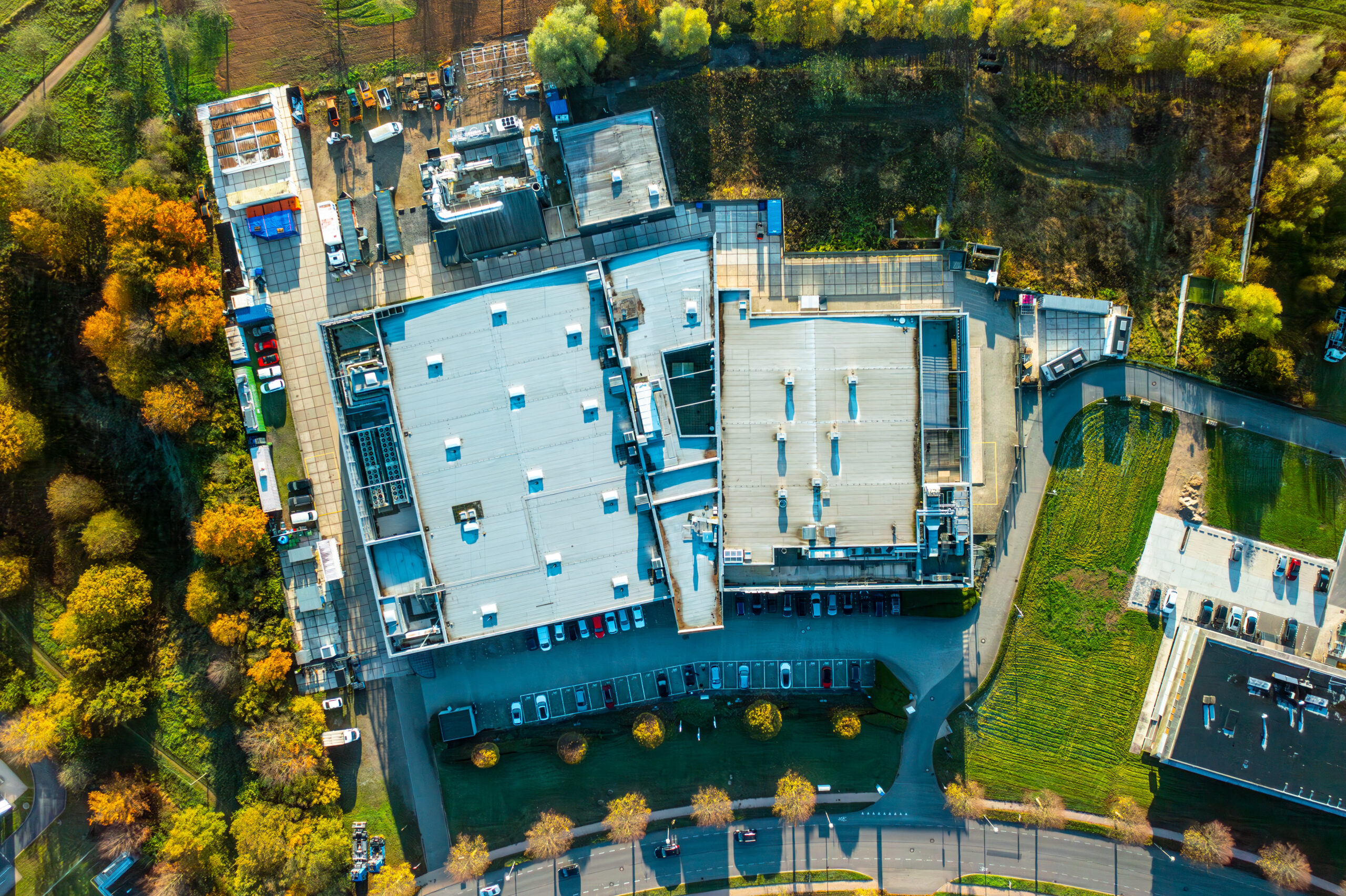 Our-Automotive-industry-experts